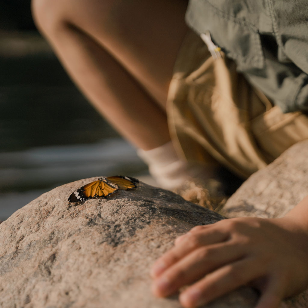 Enfant à la découverte de la sensorialité et du monde, rencontre avec un papillon
